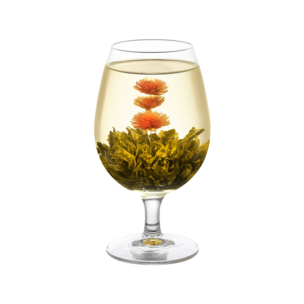 Red Dragon Blooming Flowering Green Tea